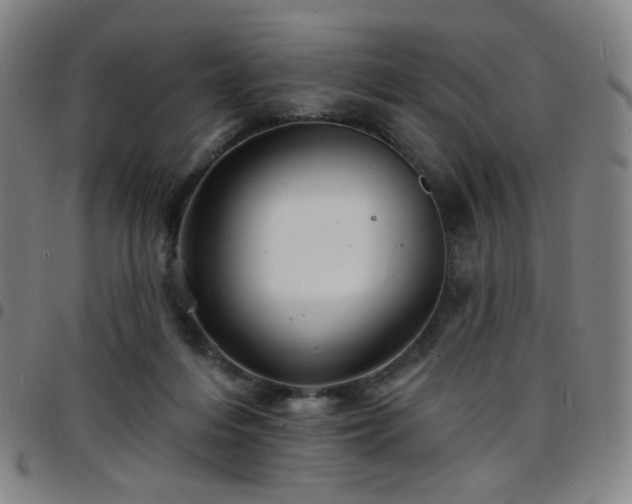 X0000097670216200803071602