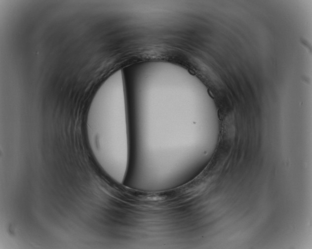 X0000097670217200803071602