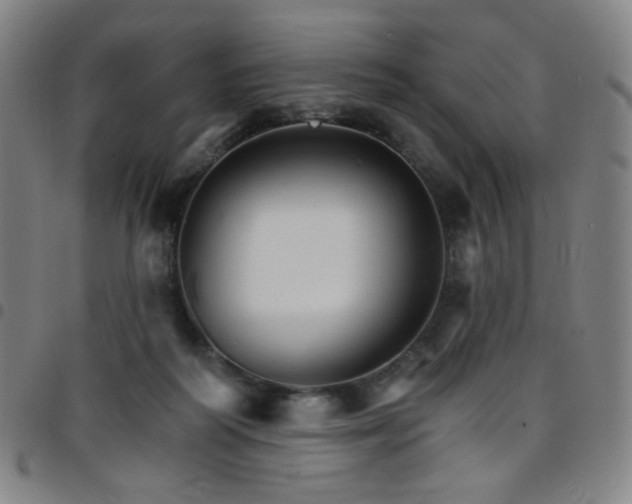 X0000097670218200803071602