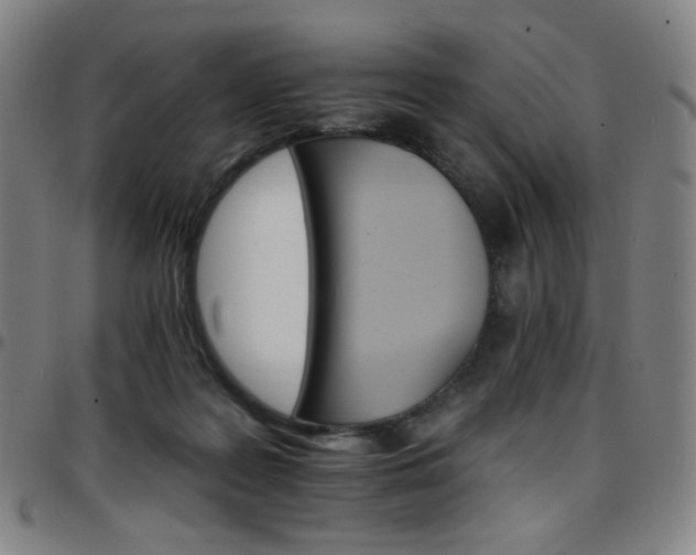 X0000097670219200803071602