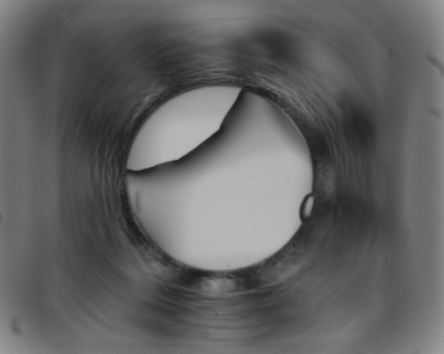 X0000097670220200803071602