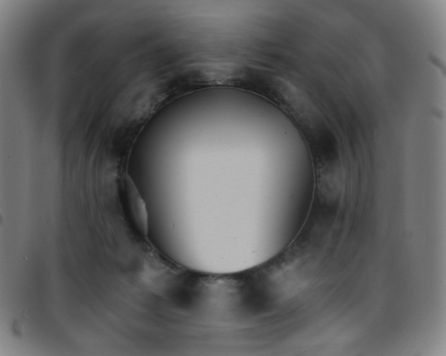 X0000097670221200803071602