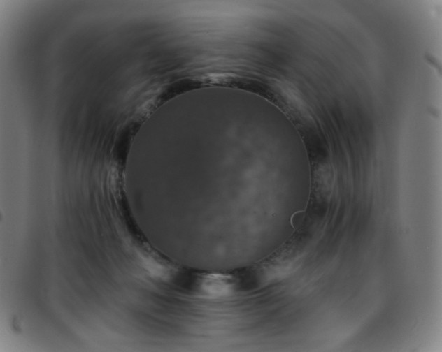 X0000097670222200803071602