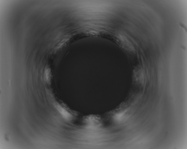 X0000097670223200803071602