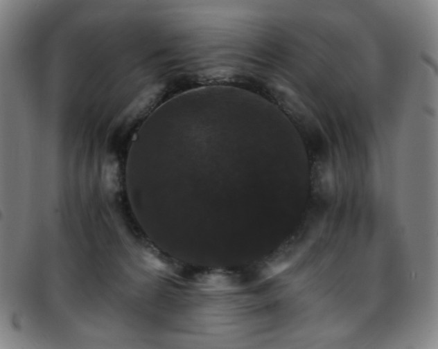 X0000097670224200803071602