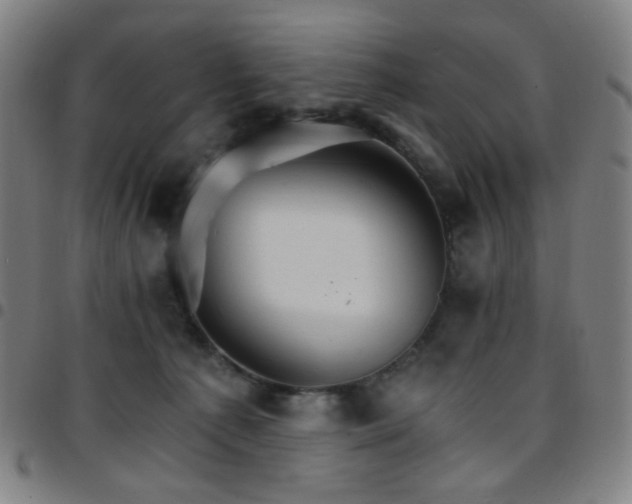 X0000097670225200803071602