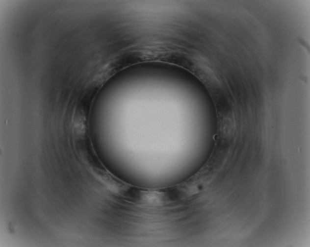 X0000097670226200803071602