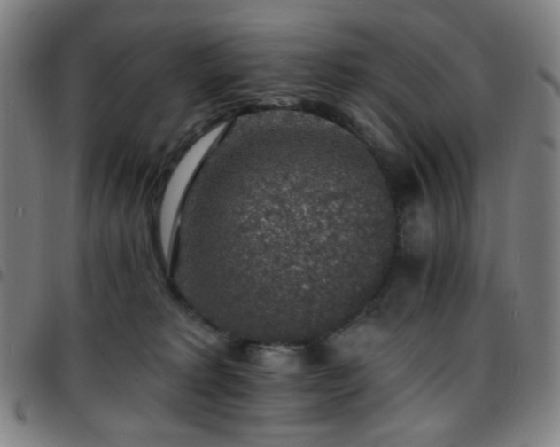 X0000097670229200803071602