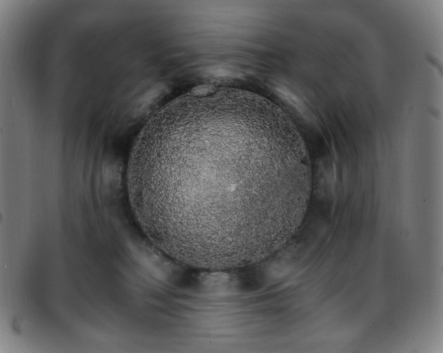 X0000097670230200803071602
