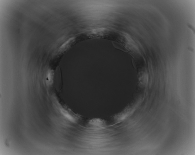 X0000097670231200803071602