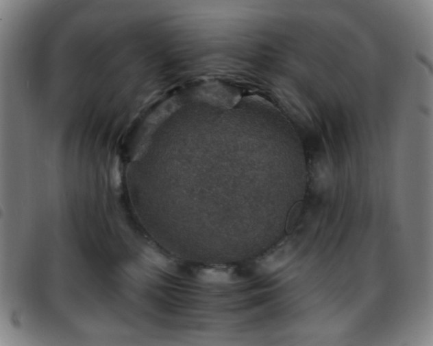 X0000097670232200803071602
