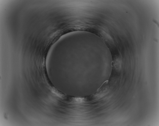 X0000097670233200803071602