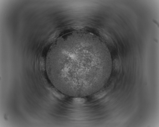 X0000097670234200803071602