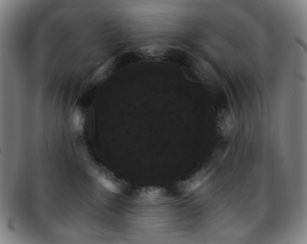 X0000097670235200803071602