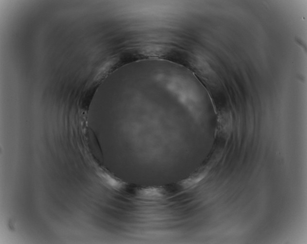 X0000097670237200803071602