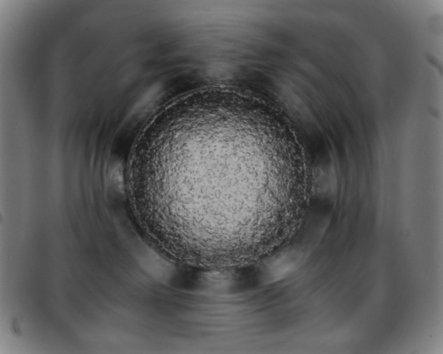 X0000097670238200803071602