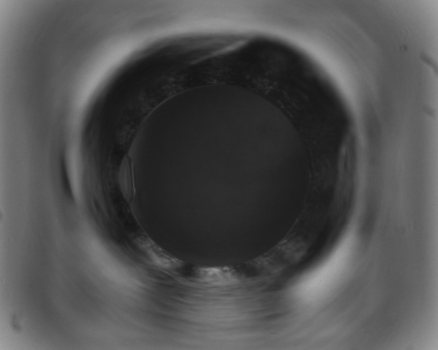 X0000097670239200803071602