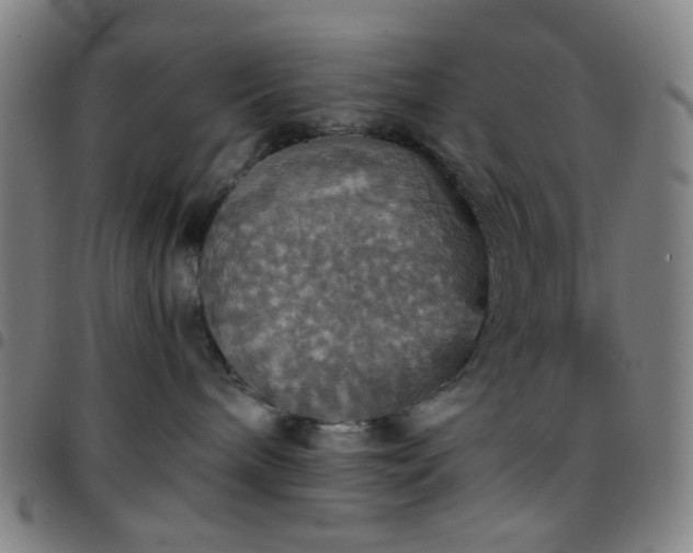 X0000097670240200803071602