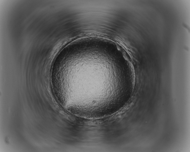 X0000097670241200803071601