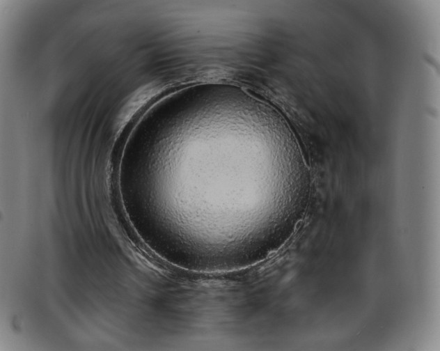 X0000097670242200803071601