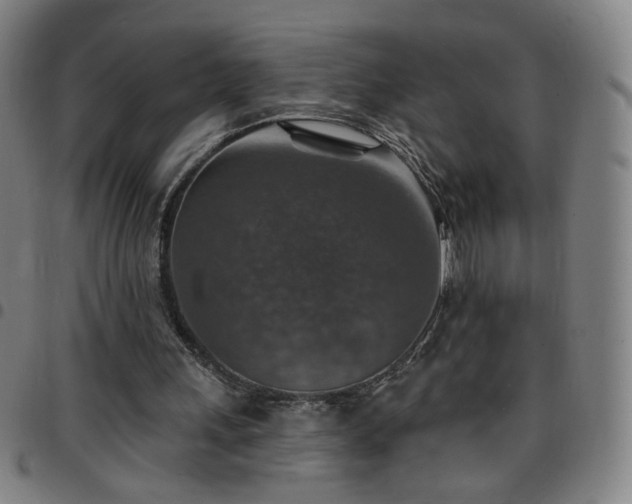 X0000097670243200803071601