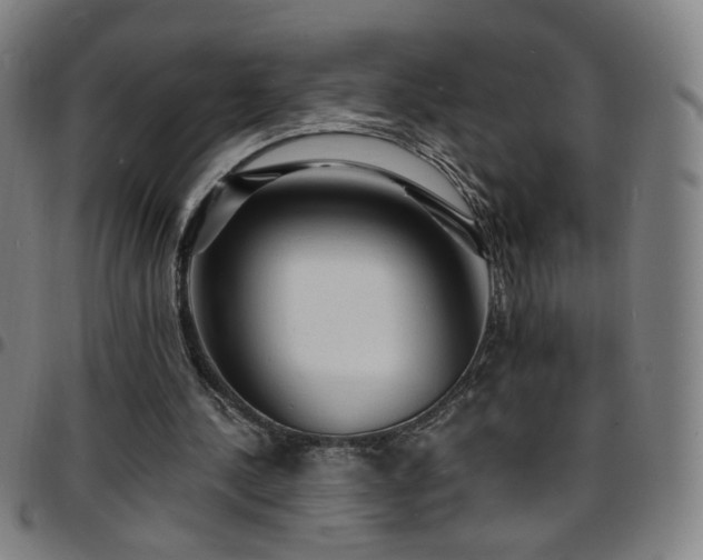 X0000097670244200803071601