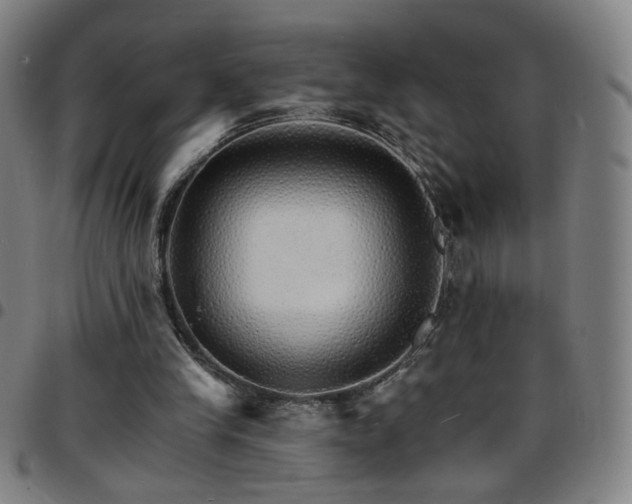 X0000097670245200803071601
