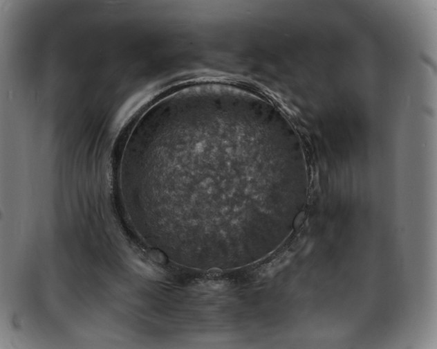 X0000097670247200803071601