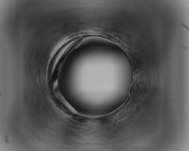 X0000097670248200803071601