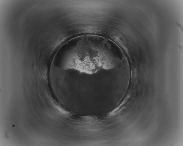 X0000097670249200803071601