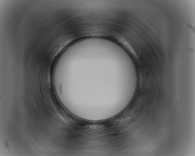 X0000097670251200803071601