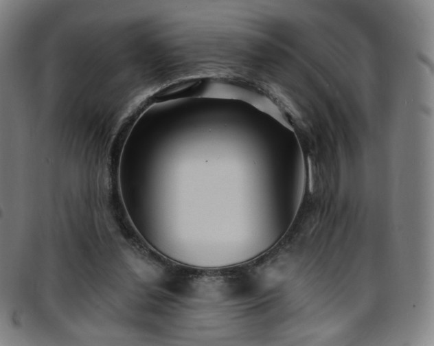 X0000097670252200803071601