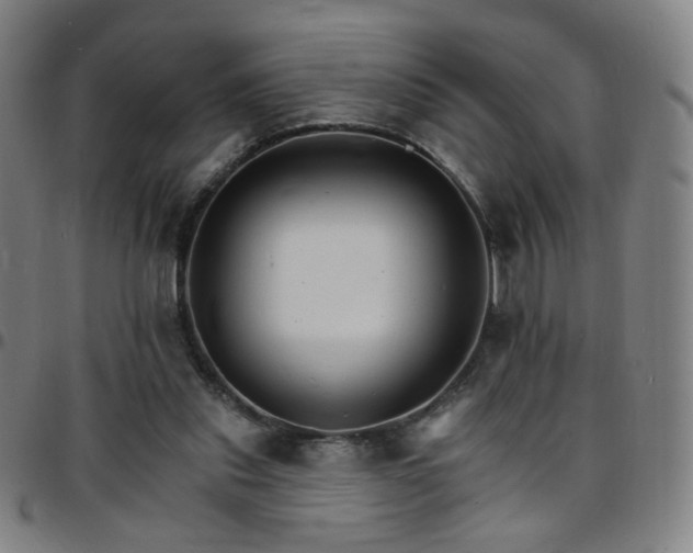 X0000097670253200803071601