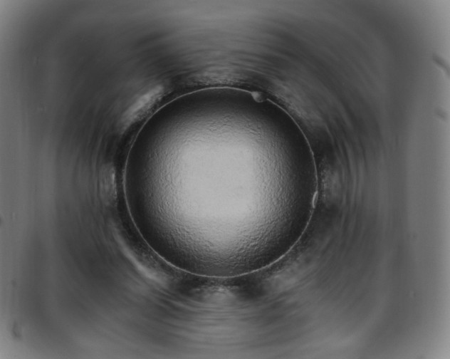 X0000097670254200803071601