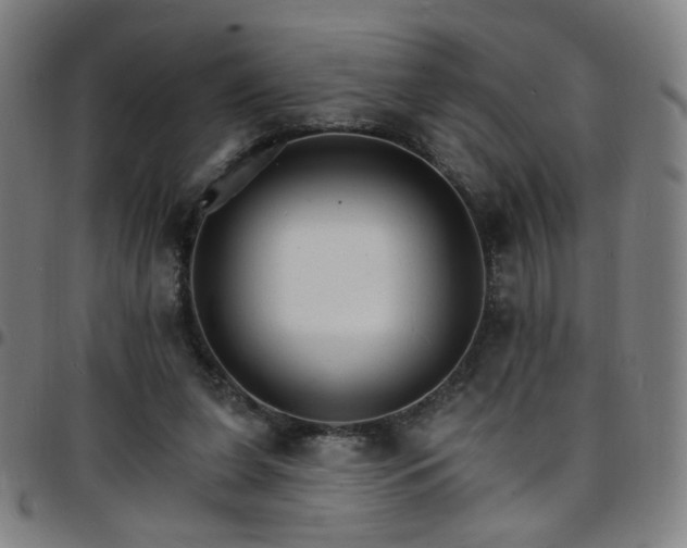 X0000097670255200803071601
