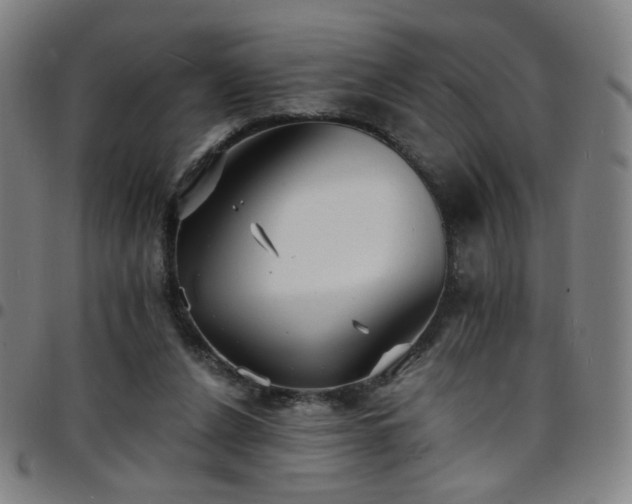 X0000097670256200803071601