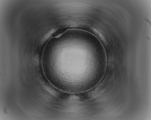X0000097670257200803071601