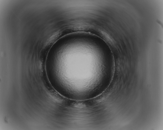 X0000097670258200803071601