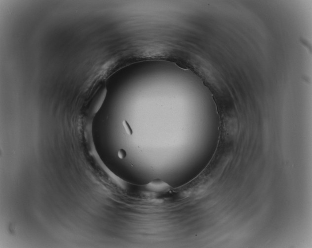 X0000097670260200803071601