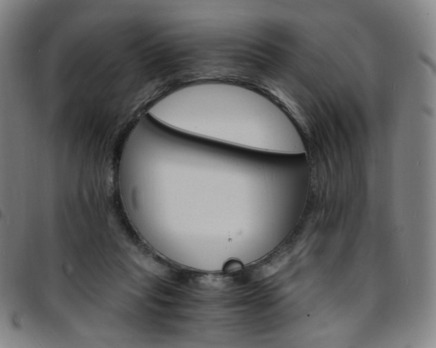 X0000097670261200803071601