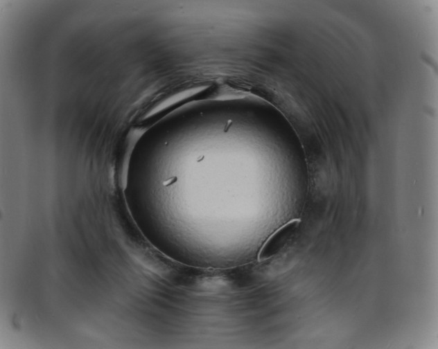 X0000097670262200803071601