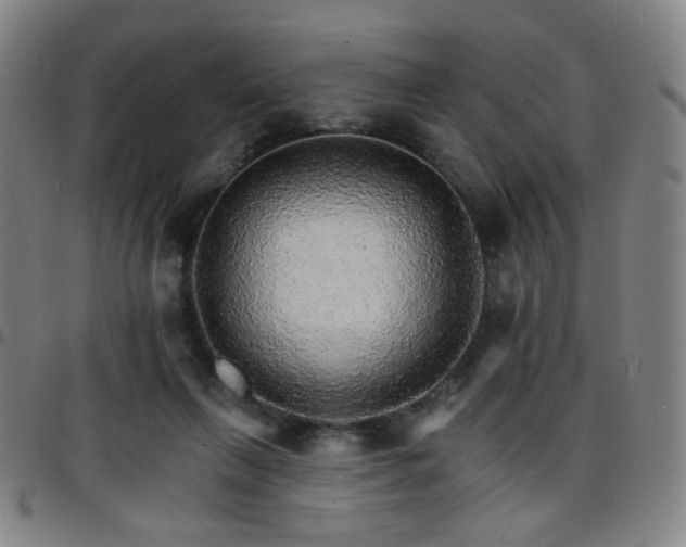 X0000097670263200803071601