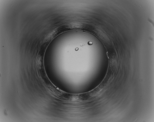 X0000097670264200803071601