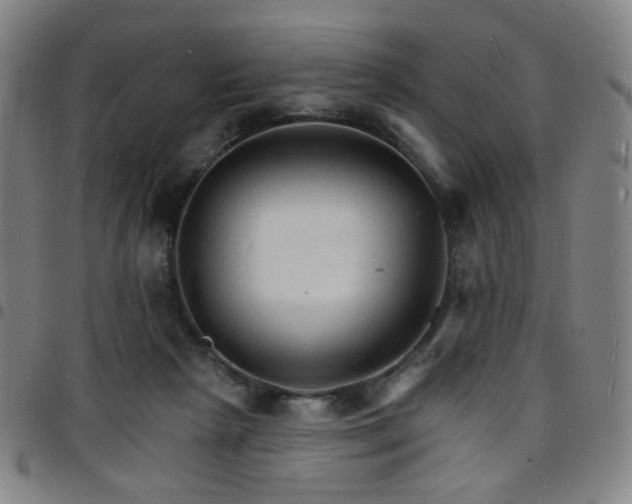 X0000097670265200803071601