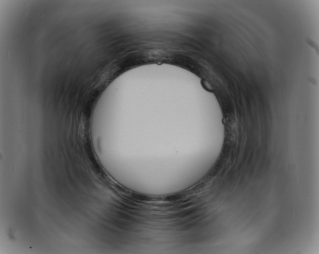 X0000097670266200803071601