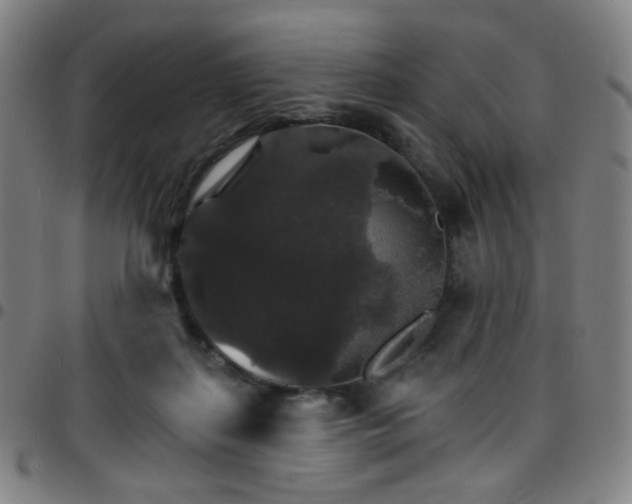X0000097670267200803071601