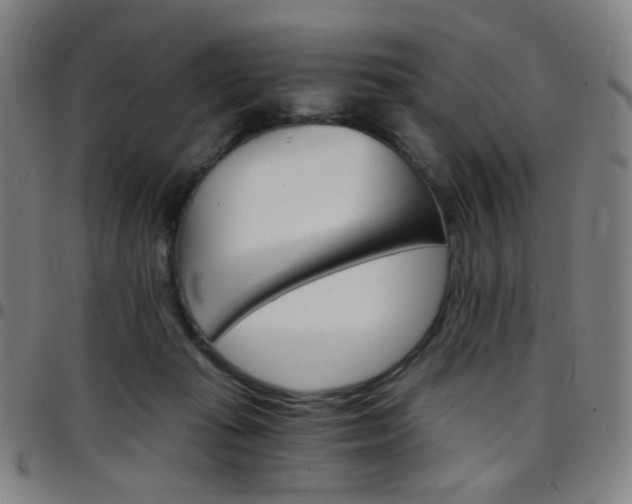 X0000097670269200803071601