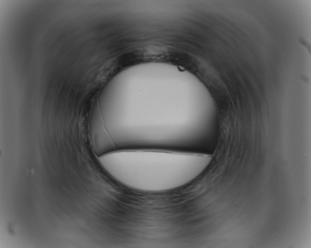 X0000097670270200803071601