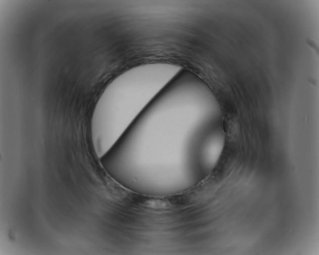 X0000097670272200803071601