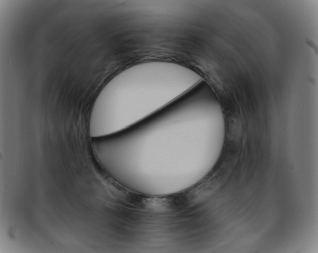 X0000097670273200803071601